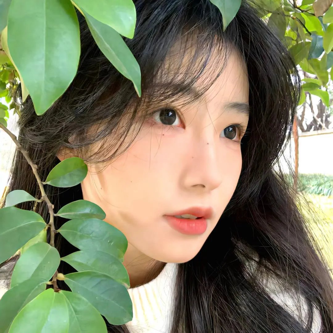 哈莉·奎茵第四季
